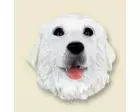 Great Pyrenees Doogie Head