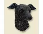Greyhound Doogie Head, Brindle