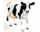 Holstein Cow Figurine