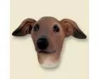 Italian Greyhound Doogie Head
