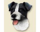 Jack Russell Terrier Doogie Head, Black and White Roughcoat