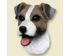 Jack Russell Terrier Doogie Head, Brown and White Roughcoat