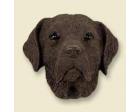 Labrador Retriever Doogie Head, Chocolate
