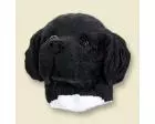 Landseer Doogie Head