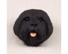 Lhasa Apso Doogie Head, Black Puppycut