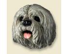 Lhasa Apso Doogie Head, Gray