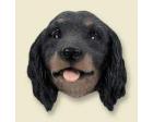 Dachshund Doogie Head, Black Longhair