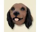 Dachshund Doogie Head, Red Longhair