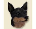 Miniature Pinscher Doogie Head, Black and Tan