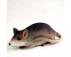 Mouse Figurine