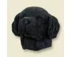 Newfoundland Doogie Head