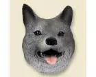 Norwegian Elkhound Doogie Head