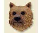 Norwich Terrier Doogie Head