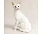 Oriental Shorthair Cat Figurine, White