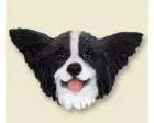 Papillon Doogie Head, Black and White