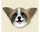Papillon Doogie Head, Brown and White