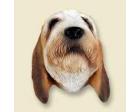 Petit Basset Griffon Vendeen Doogie Head