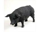 Pig Black Figurine