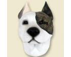 Pit Bull Terrier Doogie Head, Brindle
