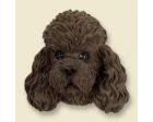 Poodle Doogie Head, Chocolate Sportcut