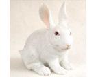 Rabbit White Figurine