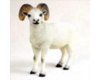 Sheep Dall Figurine