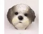 Shih Tzu Doogie Head, Mixed Puppycut