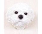 Shih Tzu Doogie Head, White Puppycut