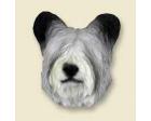 Skye Terrier Doogie Head