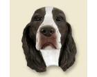 Springer Spaniel Doogie Head, Liver