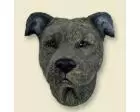 Staffordshire Bull Terrier Doogie Head, Brindle