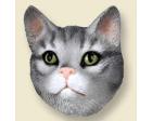 Tabby Cat Doogie Head, Silver