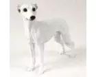 Whippet Figurine, White