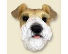 Fox Terrier Doogie Head, Wirehaired
