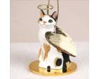 Japanese Bobtail Cat (Tort. and White) Tiny One Angel