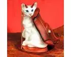 Oriental Shorthair Cat Tiny One Devil
