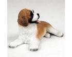 Saint Bernard - Puppy