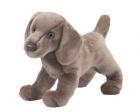 Weimaraner Plush Stuffed Dog (Cassie) 16 Inches by Douglas