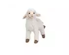 Sheep (Kid) Plush Stuffed Animal 11 Inches by Hansa