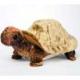 Tortoise Plush Stuffed Turtle (Speedy) 11 Inches by Douglas