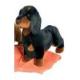 Dachshund Black & Tan Plush Dog (Spats) 14 Inches by Douglas