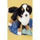 Bernese Mountain Dog Plush Stuffed (Trevor) 16 Inches by Douglas