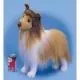 Shetland Sheepdog Plush Sheltie Dog (Dixie) 18 Inches by Douglas