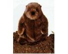 Groundhog Plush Stuffed (Chuckwood) 11 Inches by Douglas