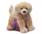 Golden Retriever Plush Stuffed Dog (Bella) 16 Inches by Douglas