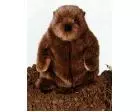 Groundhog Plush Stuffed (Chuckwood) 11 Inches by Douglas