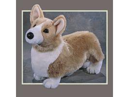 chadwick corgi