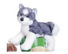 Siberian Husky Plush Stuffed Dog (Sasha) 16 Inches by Douglas