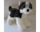 Siberian Husky Plush Stuffed Dog (Joli) 12 Inches by Douglas