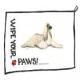 Afghan Hound Towel